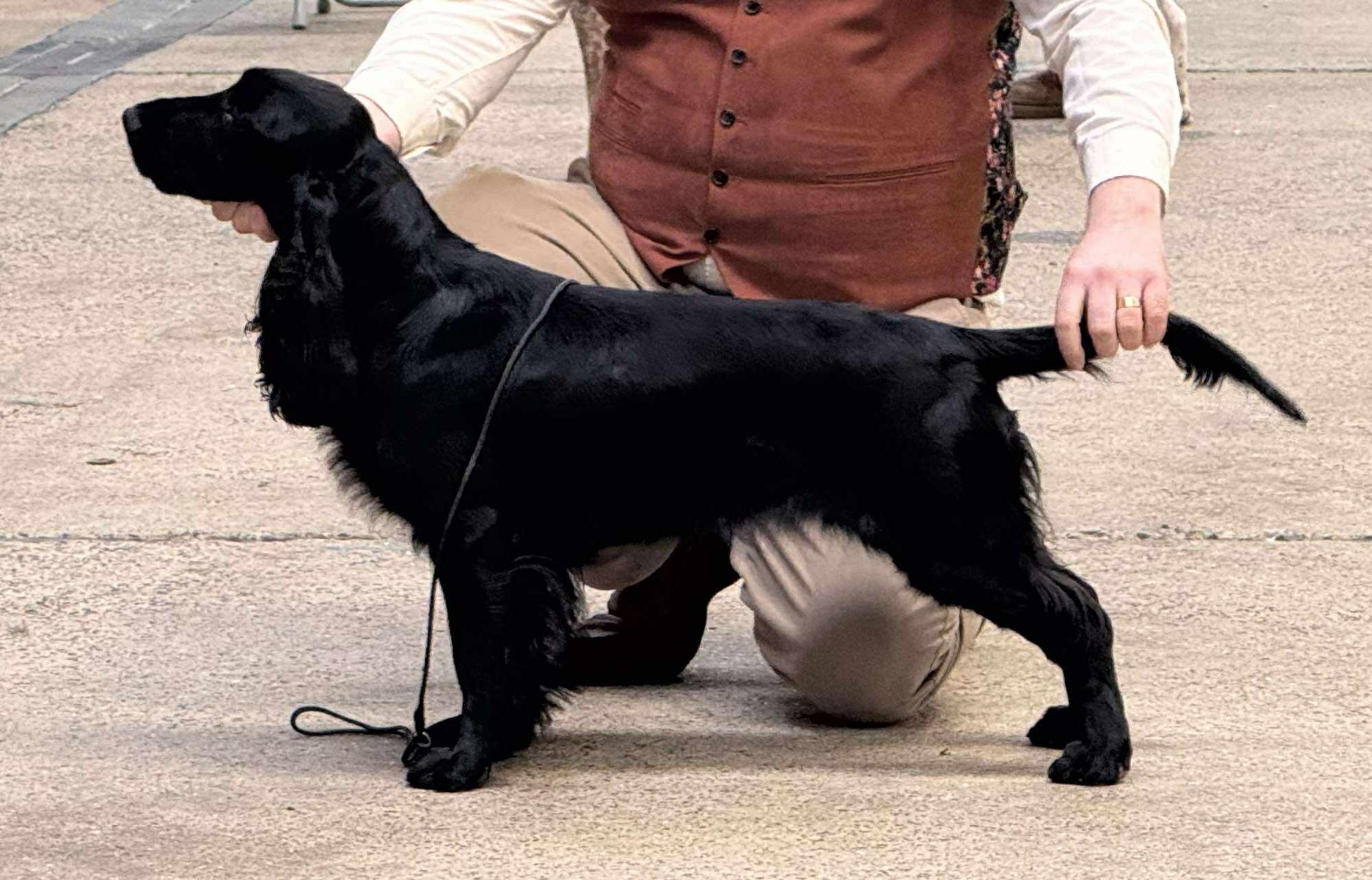 ELGERT DANCING QUEEN AT EWTOR